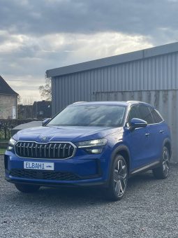 Kodiaq blue