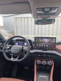 
										Kodiaq blue full									