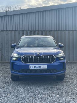 
										Kodiaq blue full									