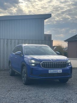 
										Kodiaq blue full									