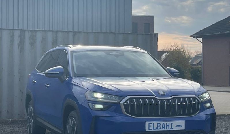 
								Kodiaq blue full									