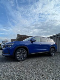 
										Kodiaq blue full									