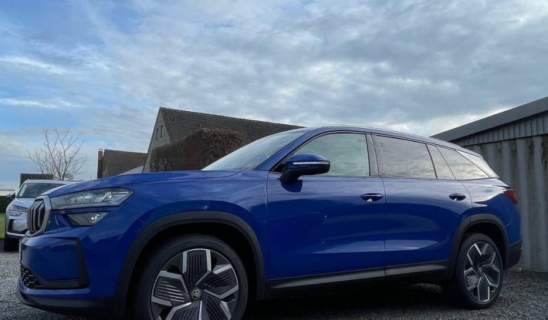 
								Kodiaq blue full									