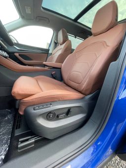 
										Kodiaq blue full									