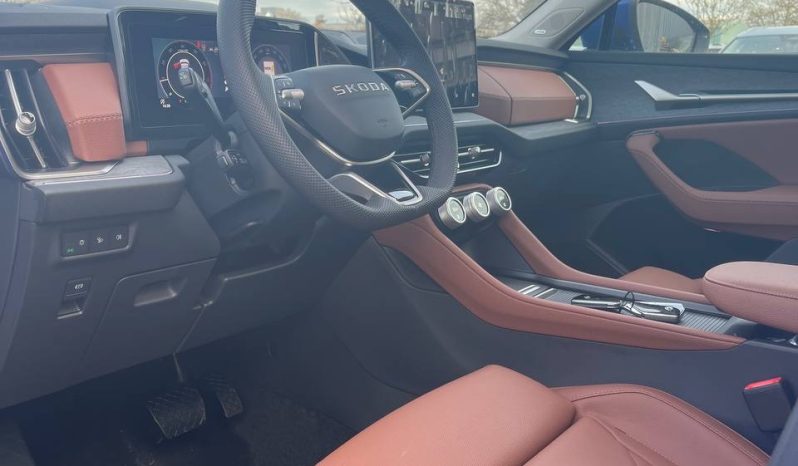 
								Kodiaq blue full									