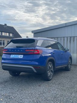 
										Kodiaq blue full									
