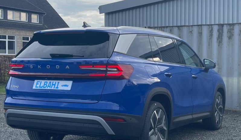 
								Kodiaq blue full									