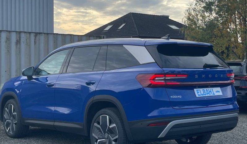 
								Kodiaq blue full									