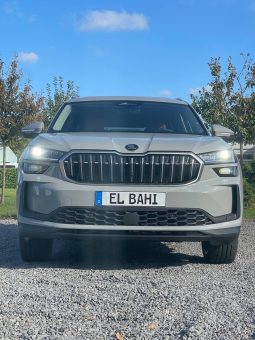 Kodiaq grey
