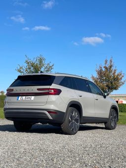 
										Kodiaq grey full									
