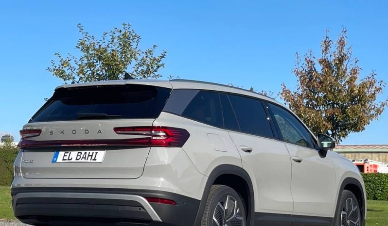 
								Kodiaq grey full									