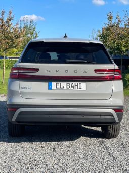 
										Kodiaq grey full									