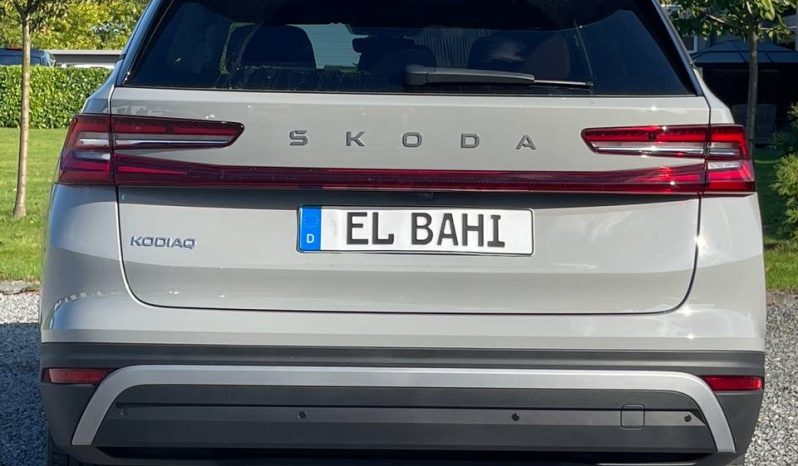 
								Kodiaq grey full									