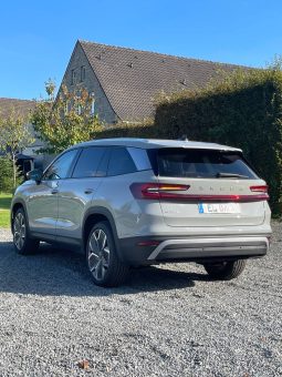 
										Kodiaq grey full									