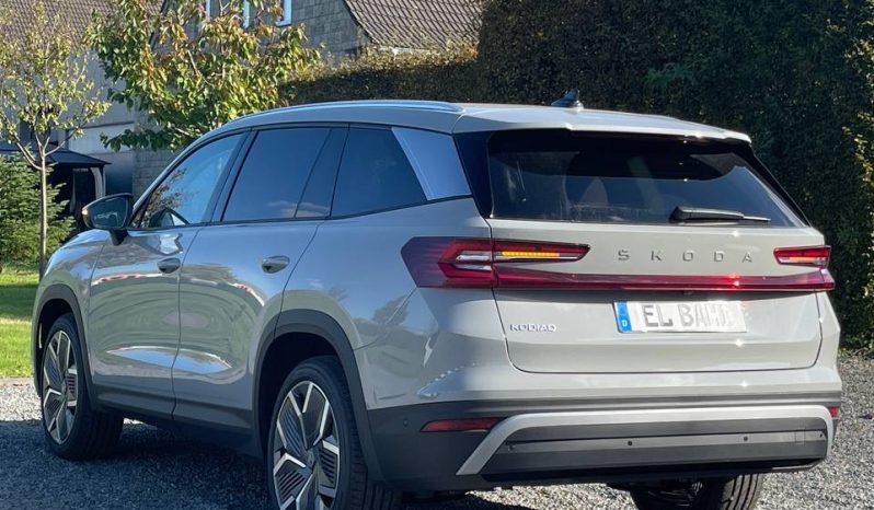 
								Kodiaq grey full									