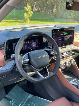 
										Kodiaq grey full									