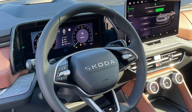 
								Kodiaq grey full									