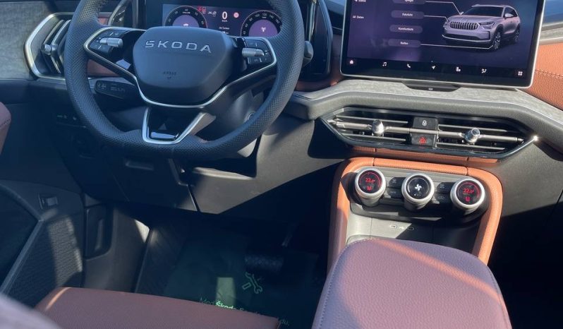 
								Kodiaq grey full									