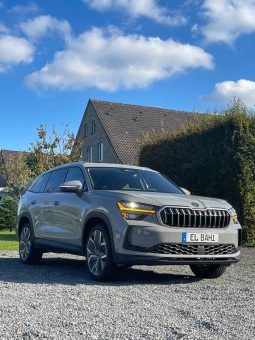 
										Kodiaq grey full									