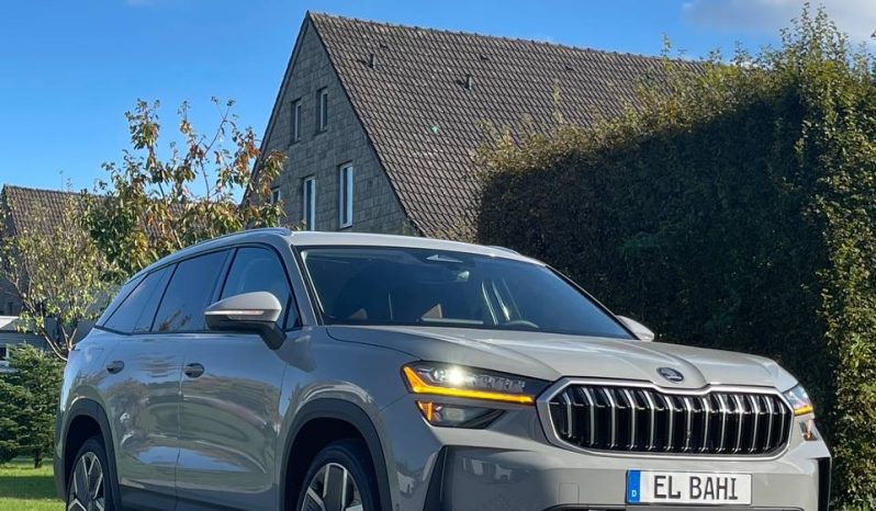
								Kodiaq grey full									