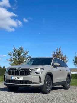 
										Kodiaq grey full									