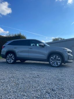 
										Kodiaq grey full									