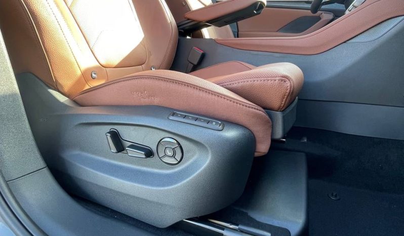 
								Kodiaq grey full									
