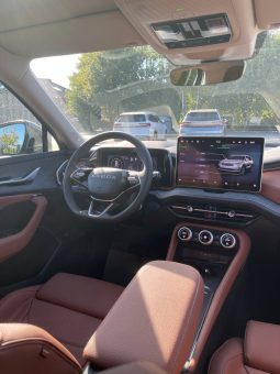 
										Kodiaq grey full									