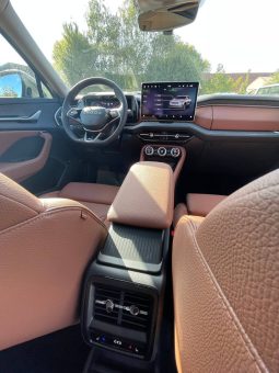
										Kodiaq grey full									