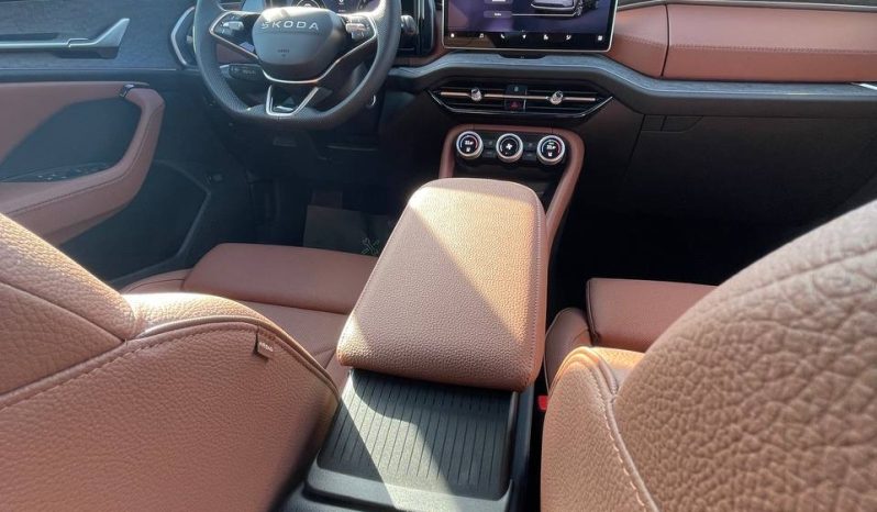 
								Kodiaq grey full									
