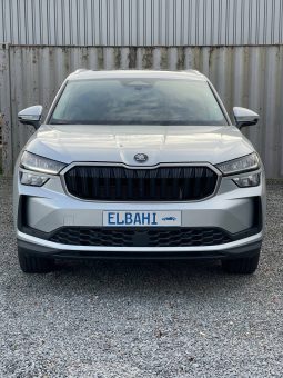
										Kodiaq silver full									
