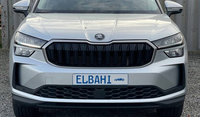 
								Kodiaq silver full									