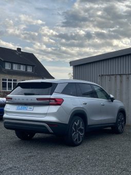 
										Kodiaq silver full									