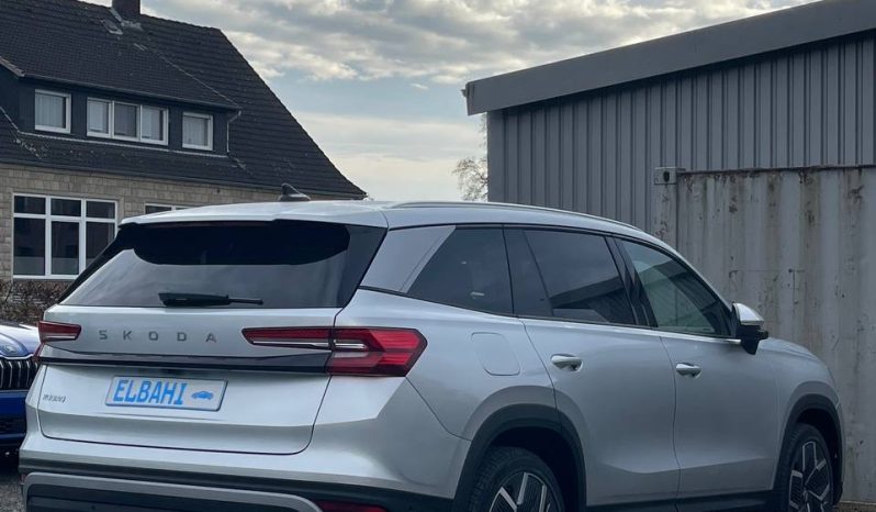 
								Kodiaq silver full									