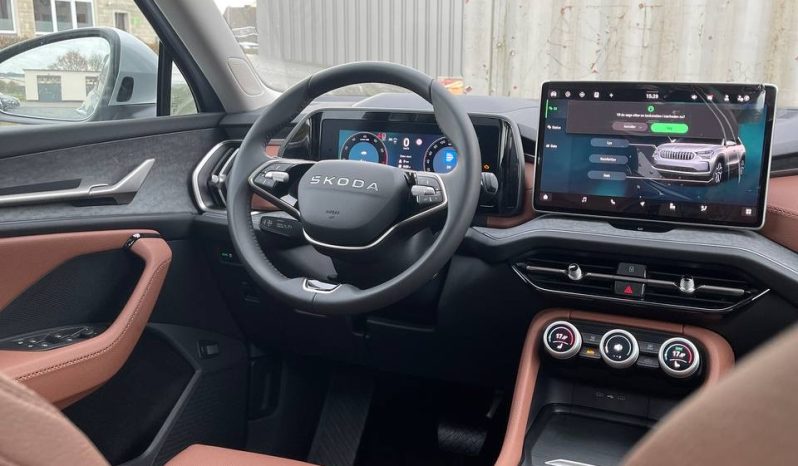 
								Kodiaq silver full									