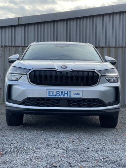 Kodiaq silver