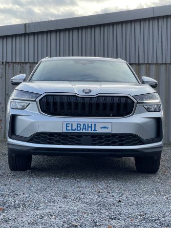 Kodiaq silver