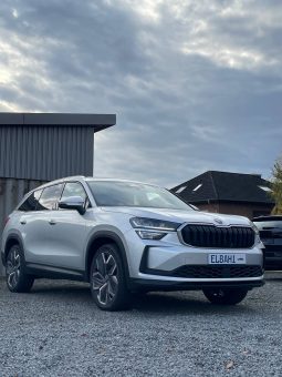 
										Kodiaq silver full									