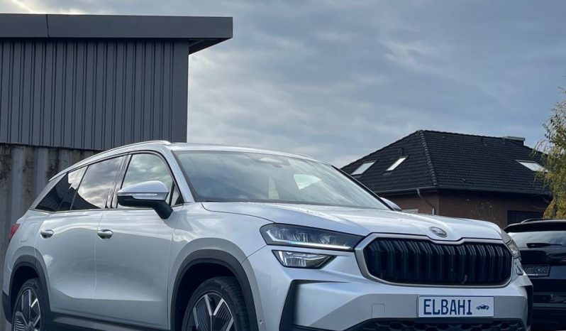 
								Kodiaq silver full									