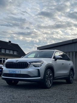 
										Kodiaq silver full									