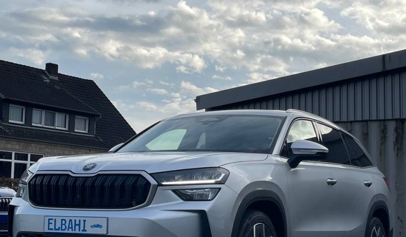 
								Kodiaq silver full									