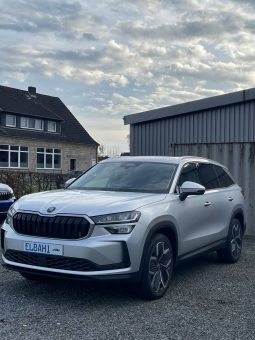 
										Kodiaq silver full									
