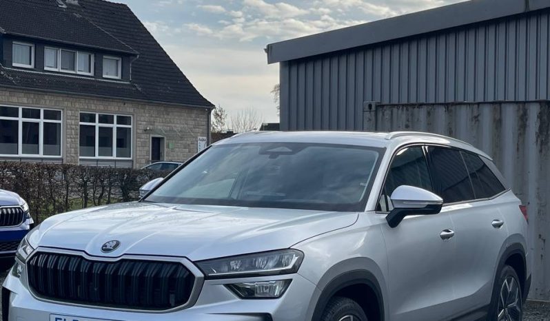 
								Kodiaq silver full									