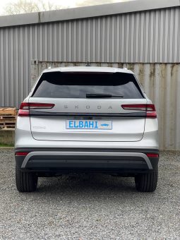 
										Kodiaq silver full									