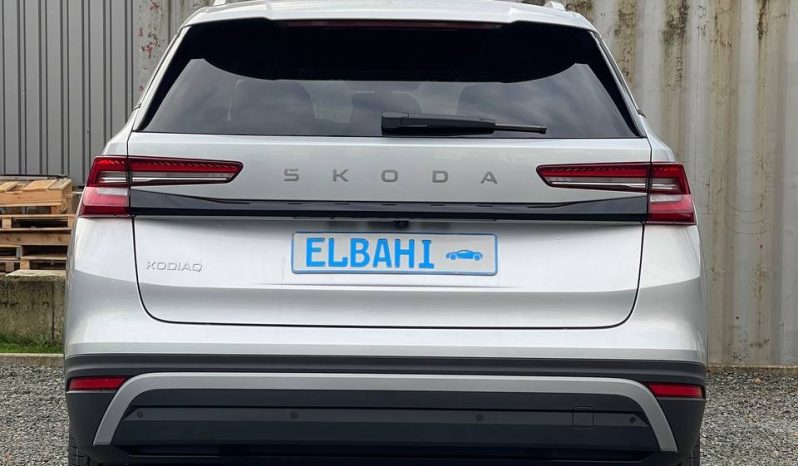
								Kodiaq silver full									