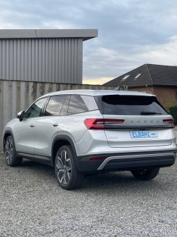 
										Kodiaq silver full									