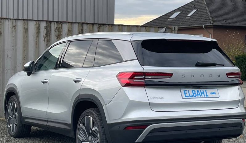 
								Kodiaq silver full									
