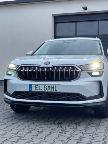 Kodiaq withe (Jant 19)