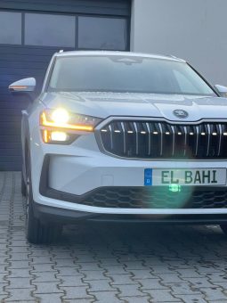 
										Kodiaq withe (Jant 19) full									