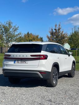 
										Kodiaq withe (Jant 20) full									